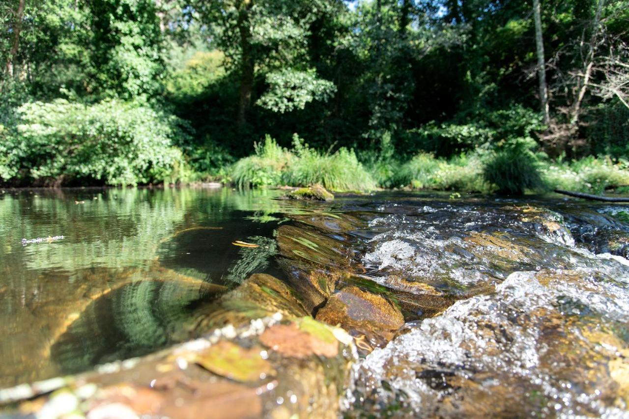 Neiva River House - Azenha Next To The River Εσποσέντε Εξωτερικό φωτογραφία